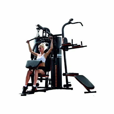 Силовая станция Altezani Gym 001 - Фото 3