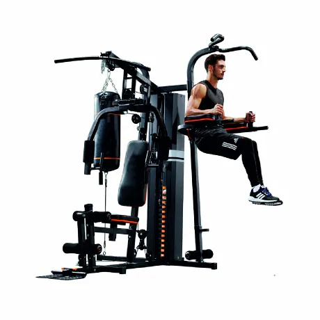 Силовая станция Altezani Gym 001 - Фото 2