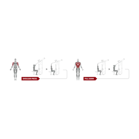 Баттерфляй / Задняя дельта Spirit Fitness DWS107-U2 - Фото 5