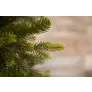 Триумф ель Уэльская 215 см зеленая - Фото 2