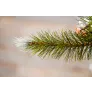 Триумф ель Женева c шишками 260 см заснеженная - Фото 4