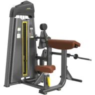 Бицепс/Трицепс сидя DHZ Biceps/Triceps Стек 109 кг E-1075В