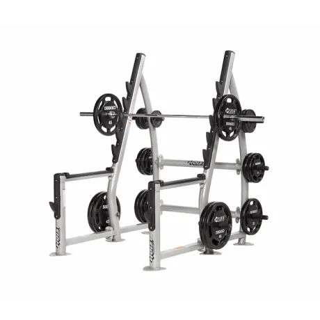 Стойка для приседаний HOIST CF-3367 - Фото 2