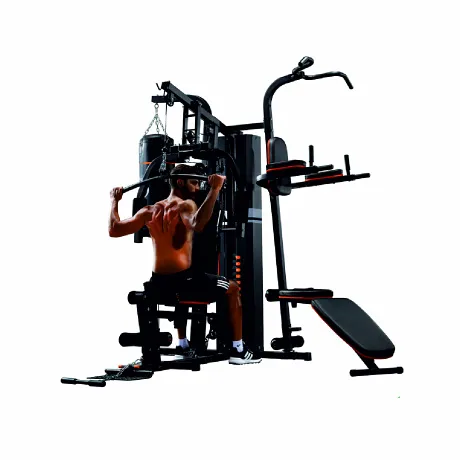Силовая станция Altezani Gym 001 - Фото 4