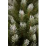 Триумф ель Женева 215 см заснеженная - Фото 4