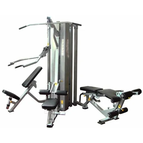 Мультистанция 3-х позиционная Spirit Fitness BWM109-3