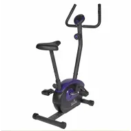Велотренажер Royal Fitness RF-10, Арт. RFIB-10